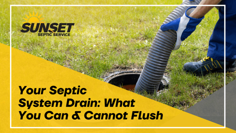 Black text reads "your septic system drain: what you can & cannot flush" over a yellow triangle with an image of a septic system getting drained